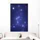 The constellation of Orion Wall Mural