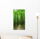 forest path Wall Mural