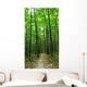 forest path Wall Mural