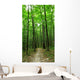 forest path Wall Mural