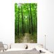 forest path Wall Mural