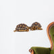 Turtles Wall Decal