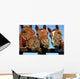 Closeup of three  heads of a horses Wall Mural
