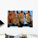 Closeup of three  heads of a horses Wall Mural