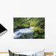 Beautiful McKenzie River Wall Decal