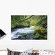 Beautiful McKenzie River Wall Decal