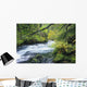 Beautiful McKenzie River Wall Decal