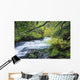 Beautiful McKenzie River Wall Decal