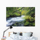 Beautiful McKenzie River Wall Decal