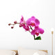 Orchid Wall Decal