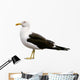 Side Seagull Wall Decal