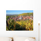 Main Valley Lower Franconia Wall Decal
