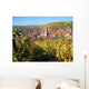 Main Valley Lower Franconia Wall Decal