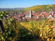 Main Valley Lower Franconia Wall Decal