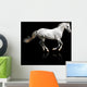 silver-white stallion galloping Wall Mural