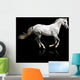 silver-white stallion galloping Wall Mural