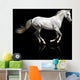 silver-white stallion galloping Wall Mural