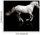 silver-white stallion galloping Wall Mural