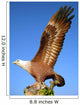 Big Eagle Statue Symbol of Langkawi Island Wall Mural