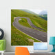 High Alpine Road Wall Decal