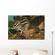 Chipmunk Wall Mural