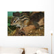 Chipmunk Wall Mural