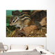 Chipmunk Wall Mural