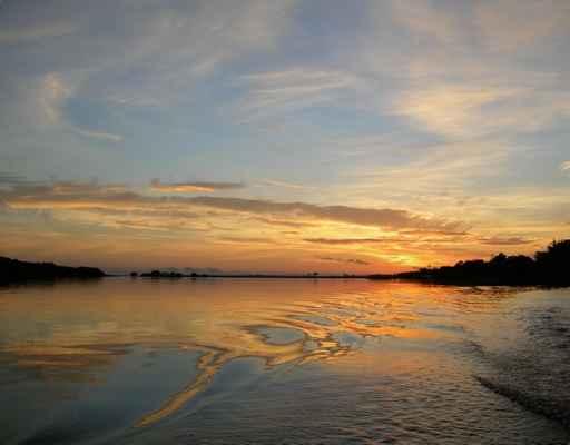 Sunset Rio Negro Amazon Wall Decal