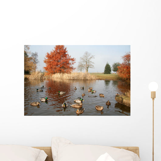 pond and ducks Wall Mural