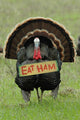 'eat Ham' Turkey Wall Mural