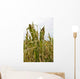 Damage to Corn Crop Wall Decal