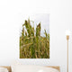 Damage to Corn Crop Wall Decal