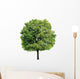 Maple Tree Wall Decal