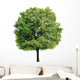 Maple Tree Wall Decal