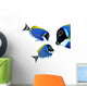 Tropical reef fish - Surgeonfish - Zebrasoma Wall Decal