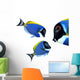 Tropical reef fish - Surgeonfish - Zebrasoma Wall Decal