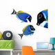Tropical reef fish - Surgeonfish - Zebrasoma Wall Decal