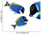 Tropical reef fish - Surgeonfish - Zebrasoma Wall Decal