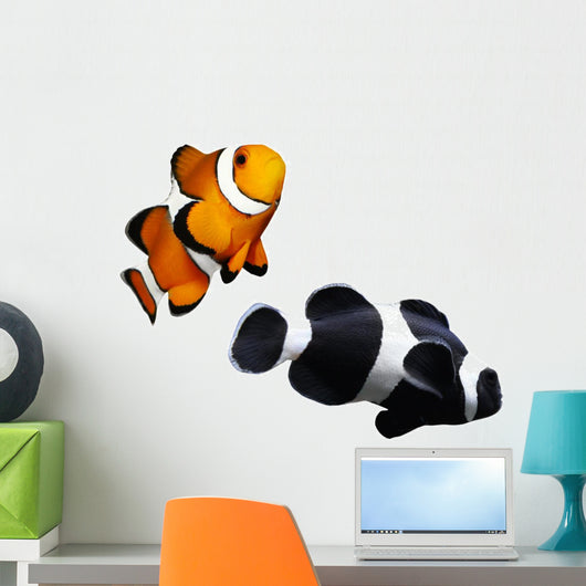 Tropical Reef Fish Clownfish Wall Mural
