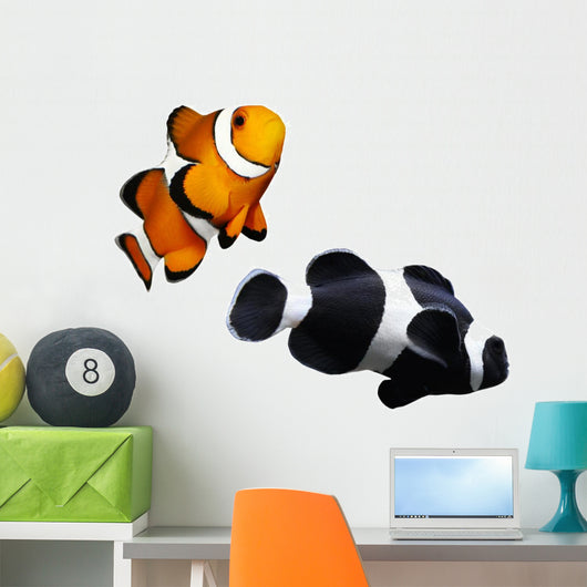 Tropical Reef Fish Clownfish Wall Mural