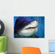 Shark Mouth Wall Mural