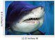 Shark Mouth Wall Mural
