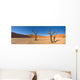 Desert Trees Wall Decal