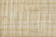 Papyrus Background Wall Mural