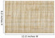 Papyrus Background Wall Mural