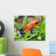 blue jeans or strawberry poison dart frog in grass Wall Mural