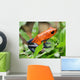 blue jeans or strawberry poison dart frog in grass Wall Mural