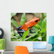 blue jeans or strawberry poison dart frog in grass Wall Mural