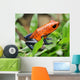 blue jeans or strawberry poison dart frog in grass Wall Mural