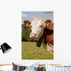 Montbeliarde Cow and His Wall Mural